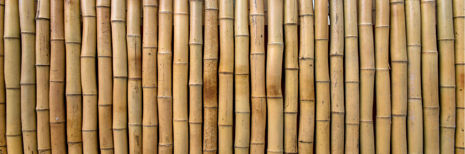 Asset 2bamboo.jpg